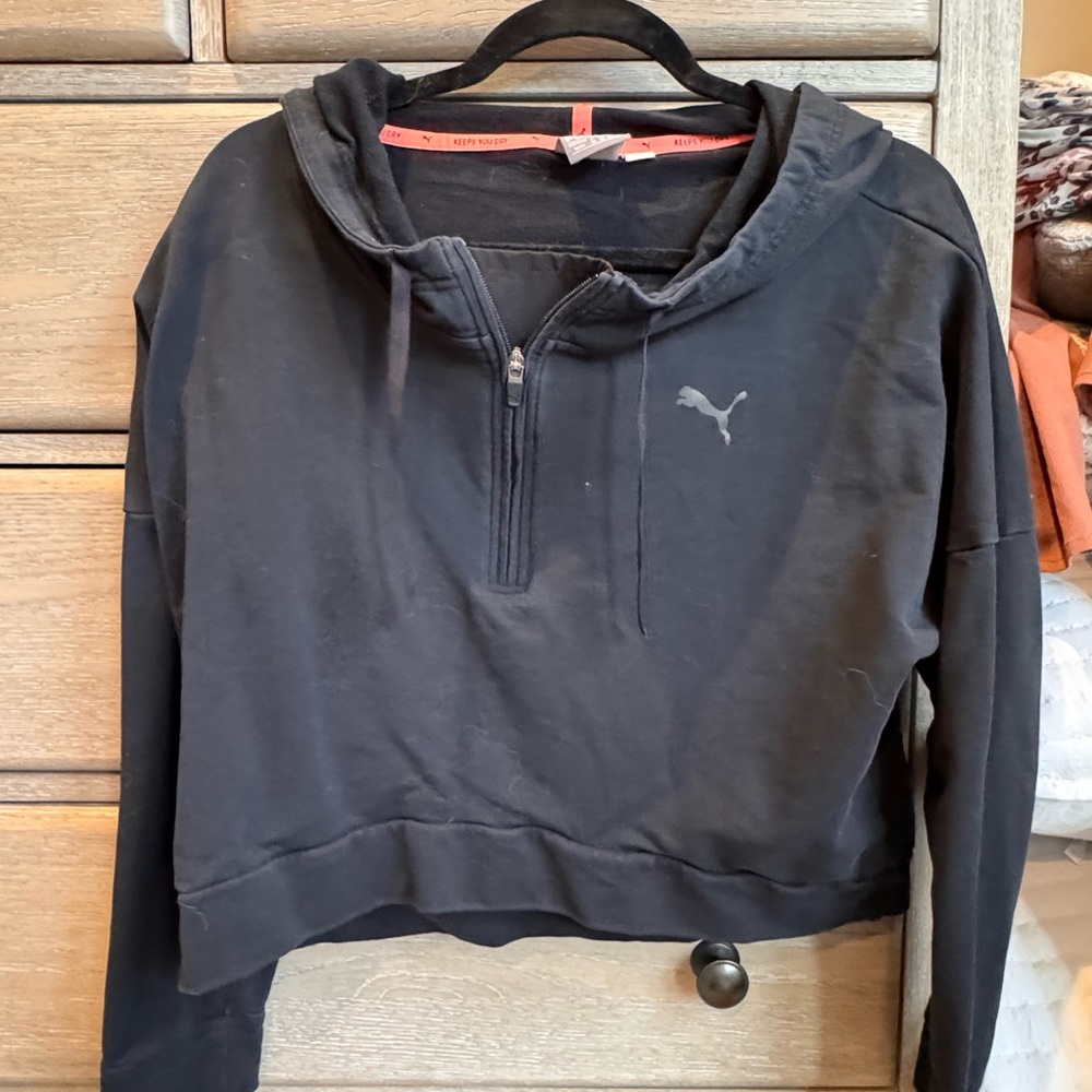 Puma Gray Cropped Long Sleeve Hoodie
